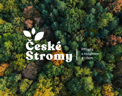 České stromy